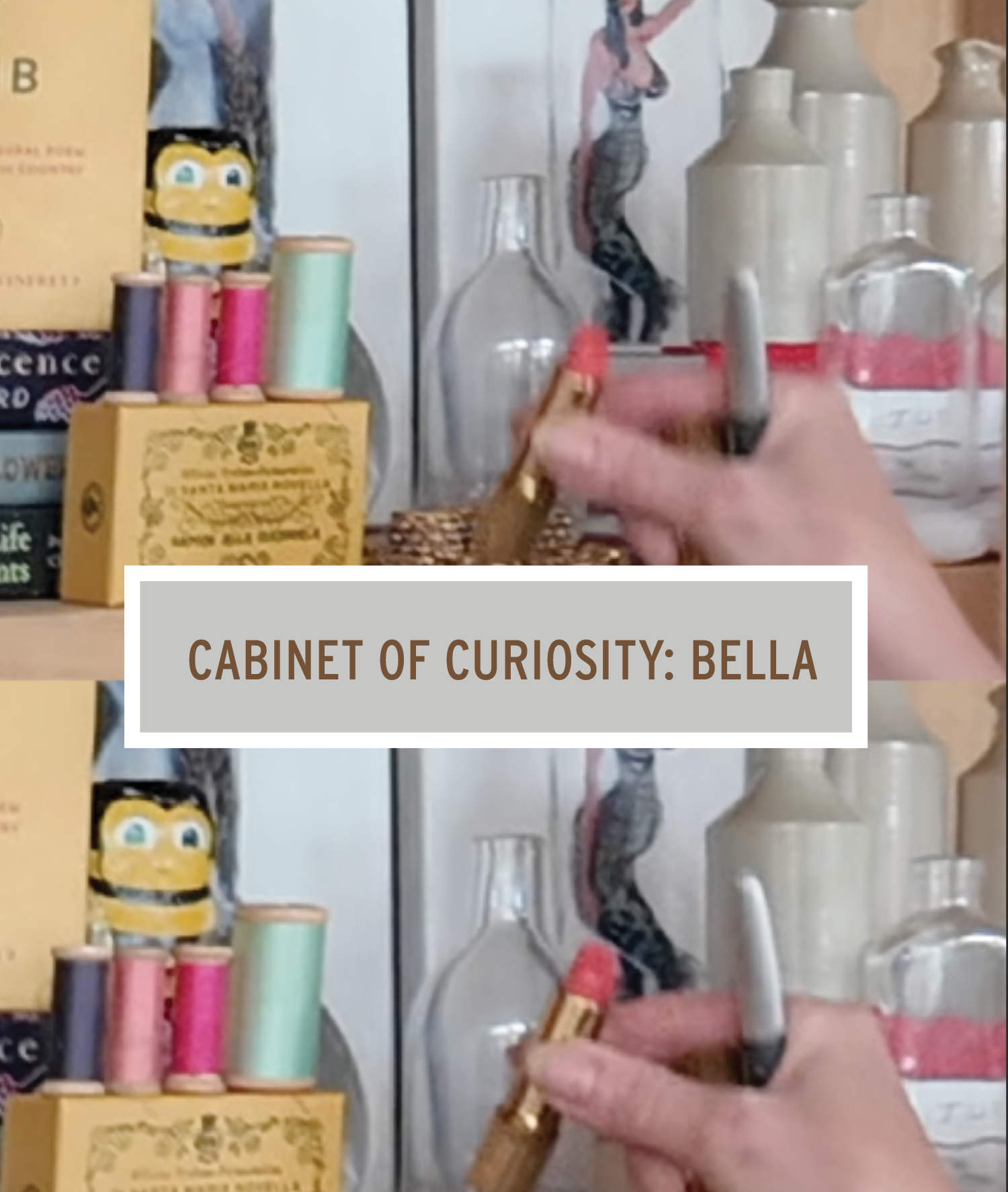 Cabinet of Curiosity - Bella