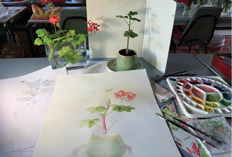 BOTANICAL ART AND DRAWING