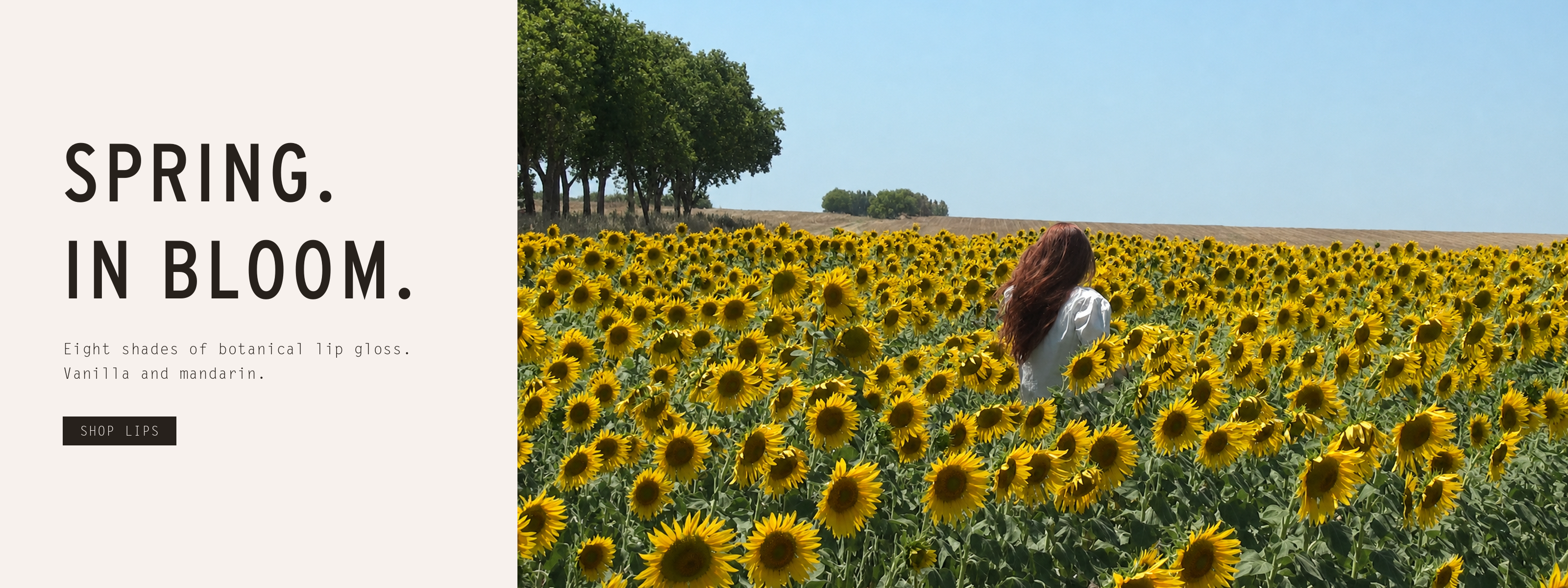 Spring, in bloom — eight shades of botanical lip gloss, vanilla and mandarin. Woman walking through a sunflower field. Shop Lips. Australian made since 1993.